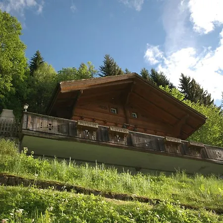 Beautiful Holiday In Brienz With Lake View ブリエンツ