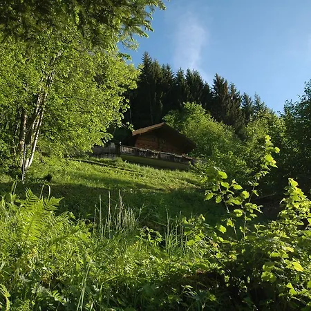 Holiday home Beautiful Holiday Home In Brienz With Lake View Brienz (Bern)